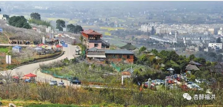 2024年11月14日 第14页