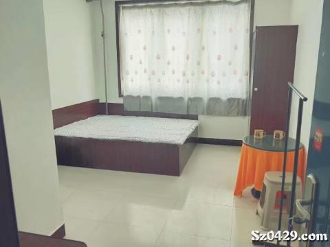 绥中租房网全新升级，科技重塑租房体验，历史上的革新巨献在11月13日呈现