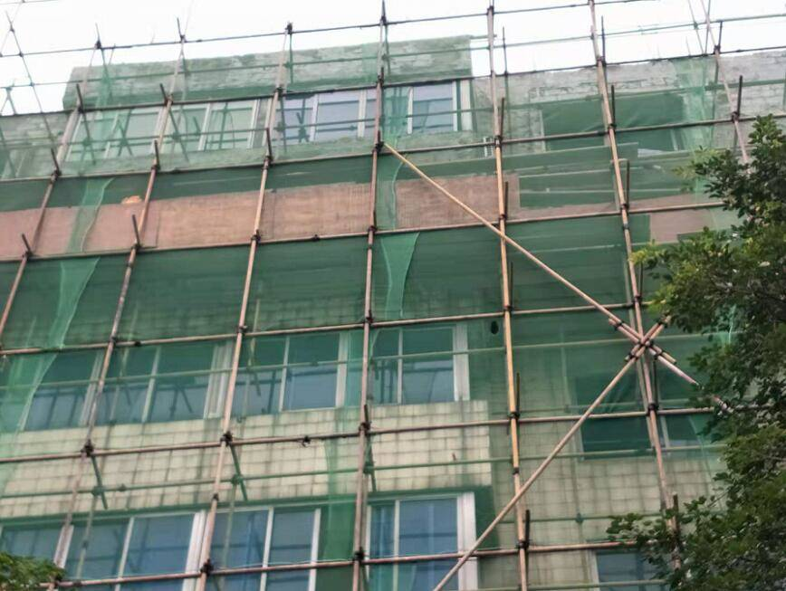 11月13日青神深度解读，最新新闻速递与动态分析