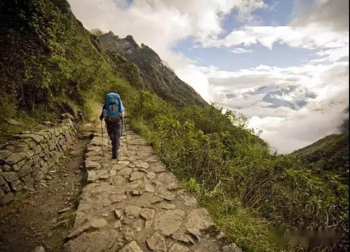 2024年11月15日 第24页