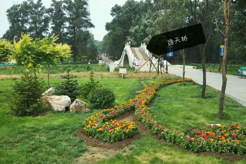 揭秘，以2024年11月13日为界，官场新星崛起之路的最新动态