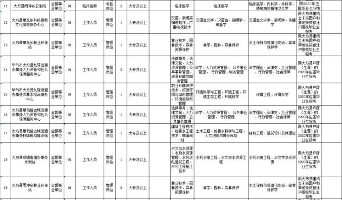 往年11月14日毕节人事任免深度解析，特性、体验、竞品对比及用户群体分析全解析