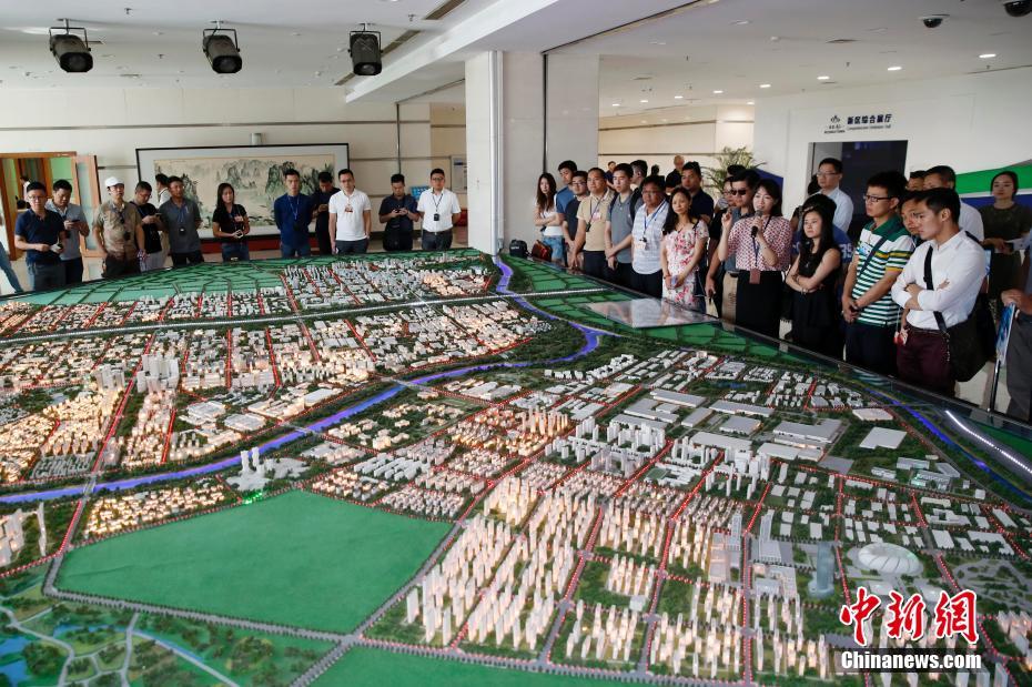 2024年11月15日 第16页