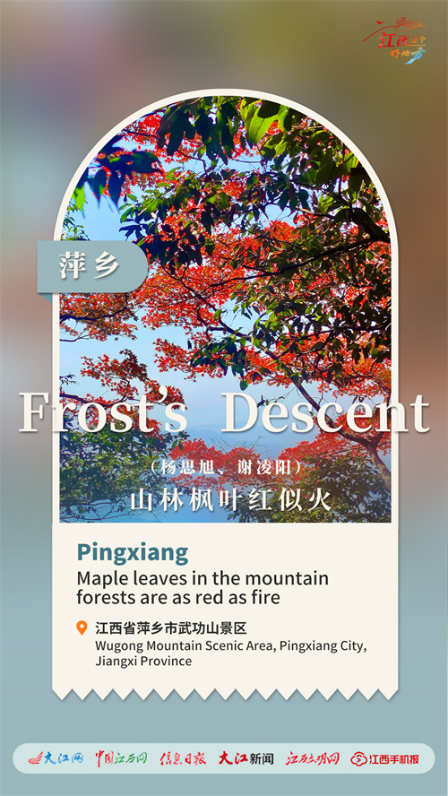 南丰新闻日常，秋日友情故事温馨呈现