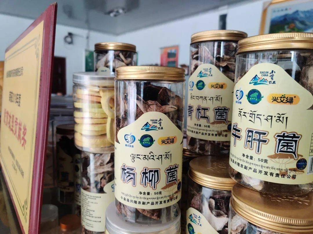 泊头秘密，11月14日小餐桌女工的故事