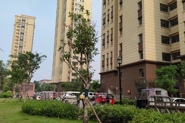 临沂溪苑兰亭最新动态揭秘，深度解读与观点碰撞