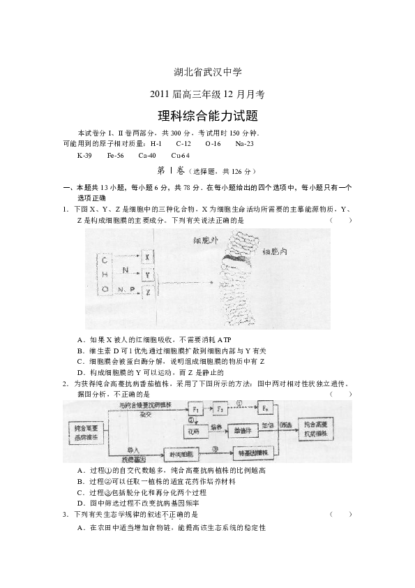 2024年11月15日 第4页