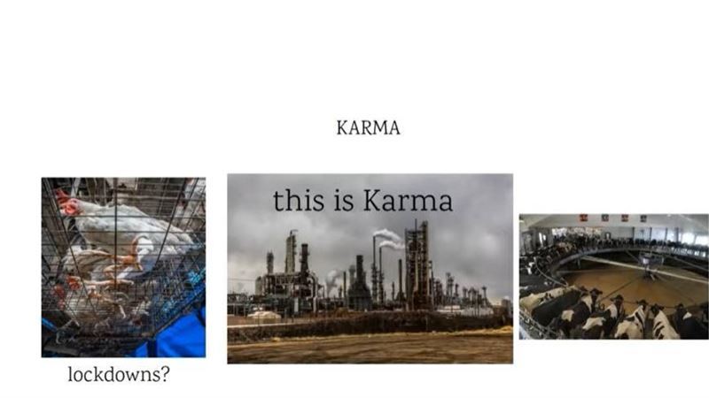 委内瑞拉经济新篇章，日常奇遇记中的温馨经济变迁