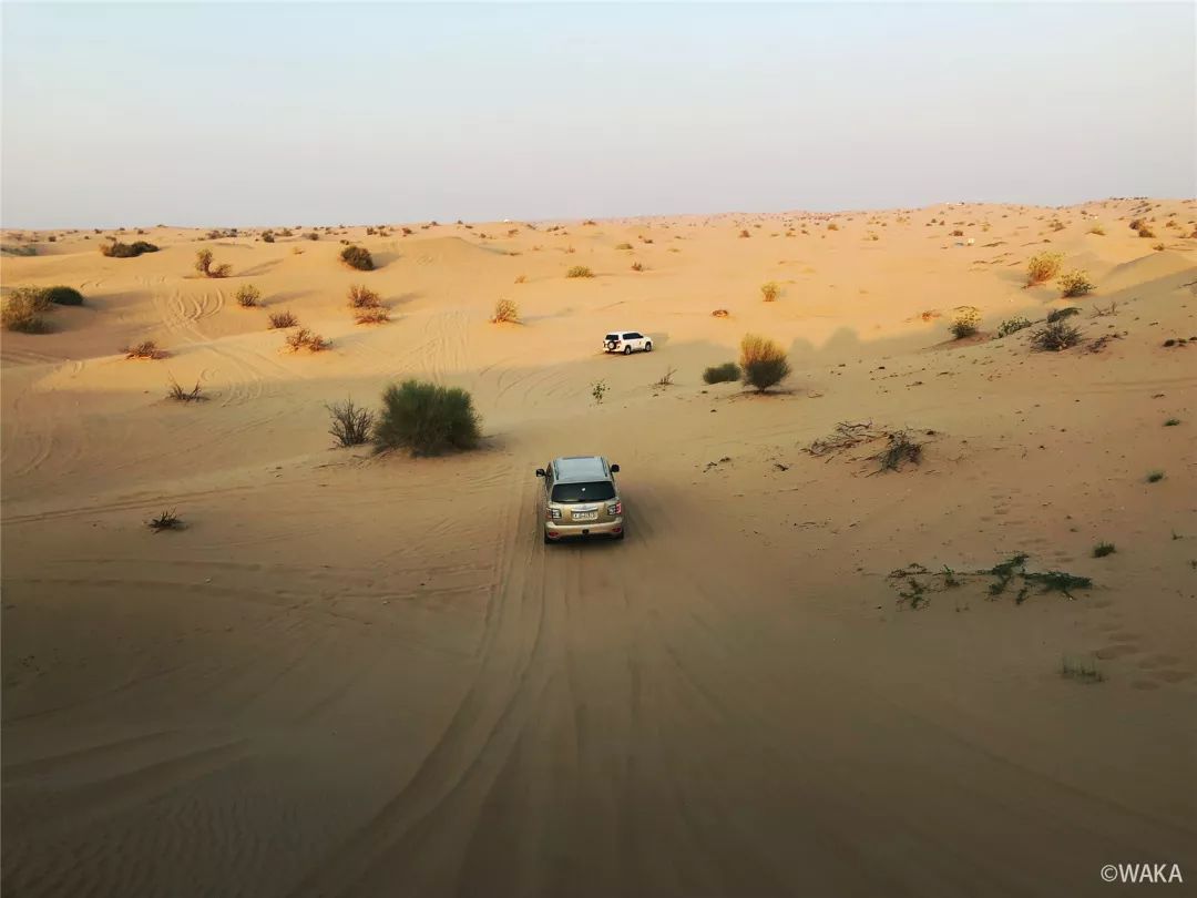 探秘Amimis2最新址，与自然美景共舞的一天之旅