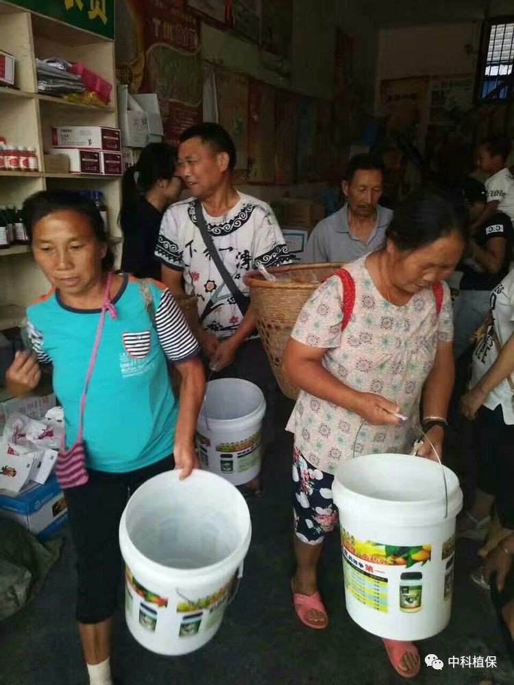 往年11月14日莱芜人事调整深度解析与最新动态