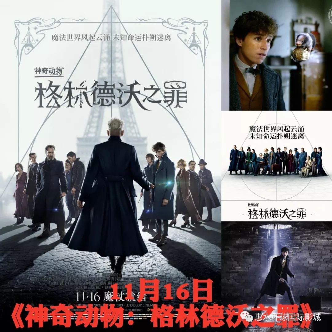 揭秘，2024年11月14日最新热门电影榜单及新片推荐