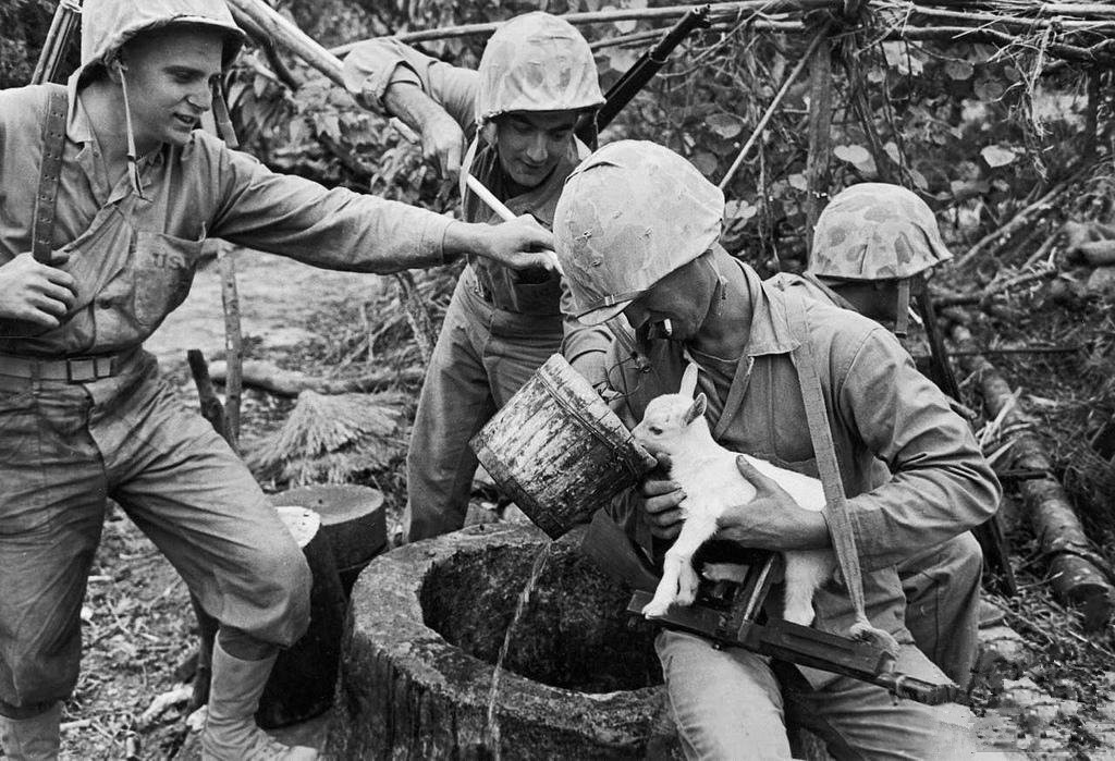 记火灾中的温情瞬间，历史上的11月14日火灾故事回顾