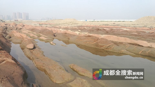 江口沉银考古揭秘，最新发现与日常温馨生活的交汇点