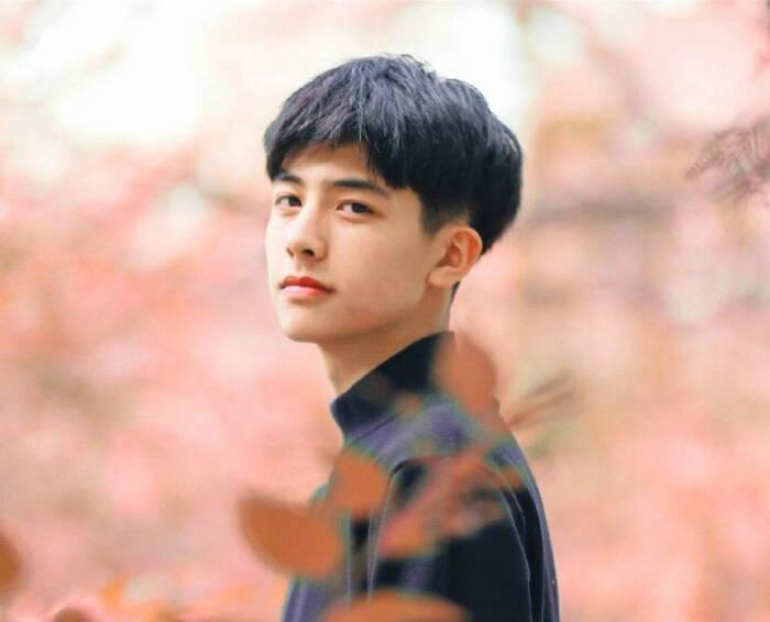 昔日荣光再现，宋威龙的新篇章——以XXXX年11月14日为界