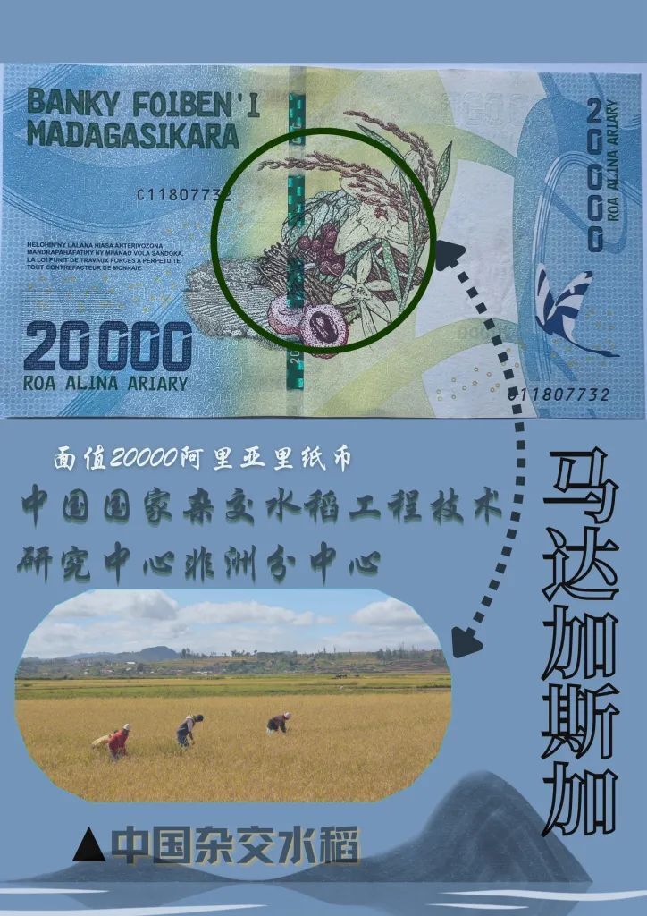 历史上的1月14日，非洲猪瘟的最新进展与变化带来的自信与成就感