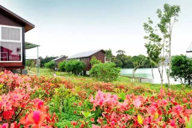 2024年11月17日 第16页