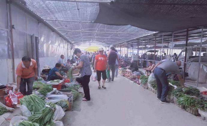 探访历史上的11月14日拉威海鲜市场，采购指南与探访体验