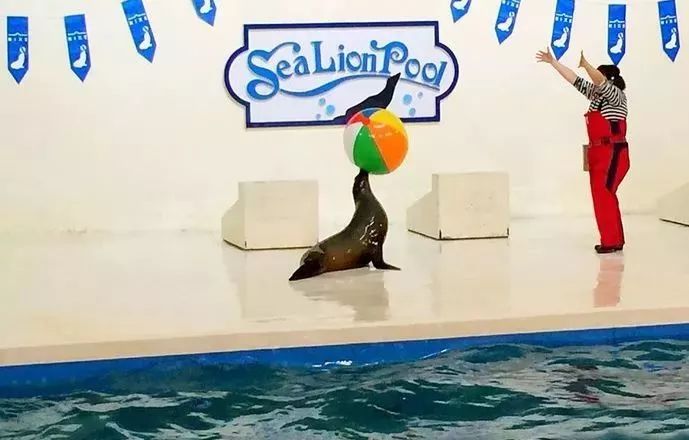 历史上的11月14日国际客运航班动态，最新消息与未来展望