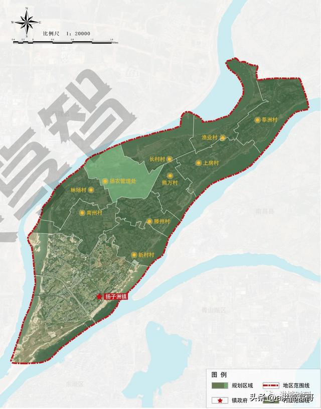 扬子洲最新动态，2024年11月14日消息概览