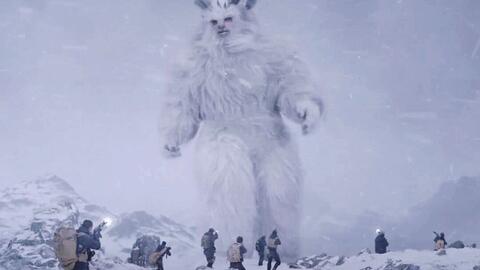 揭秘十一月骑驴新体验，探索未知领域的魅力与挑战