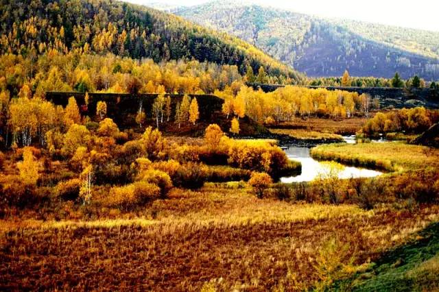 金秋时节探寻自然美景之旅，揭秘石油价格涨跌与绿色奇迹