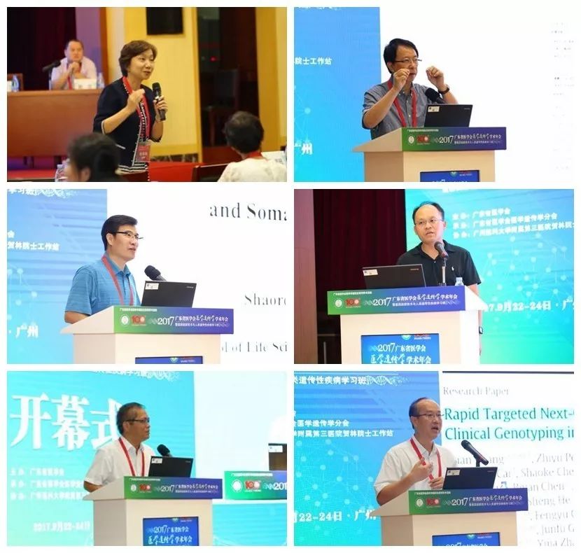 盈江县最新招聘动态，聚焦机遇与挑战的招聘信息（11月16日更新）