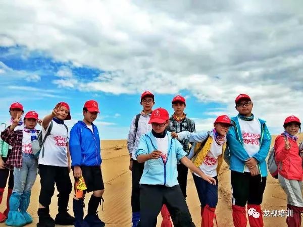 心灵之旅，与大自然共舞，探寻2024大选投票日最新动态