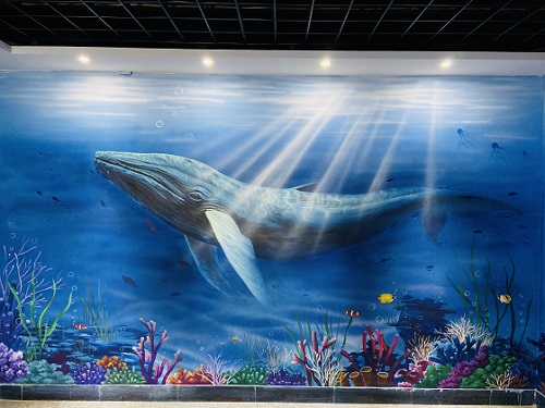 上海国产航母新动态揭秘，科技巨轮启航，重塑海洋时代体验