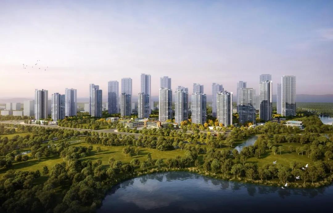 张彬彬的奋斗之路，学习变化的力量与自信的绽放之旅（2024年11月16日最新）