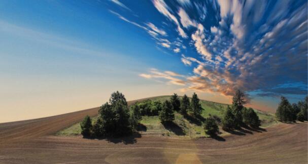 2024年11月23日 第11页