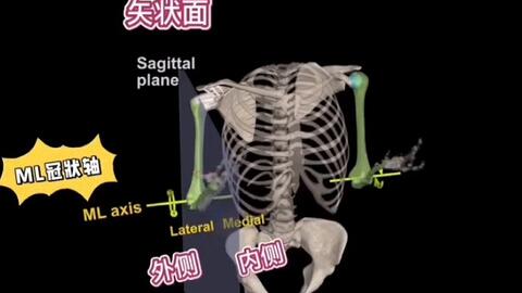 最新打肌肉针视频教程与步骤指南，11月15日更新