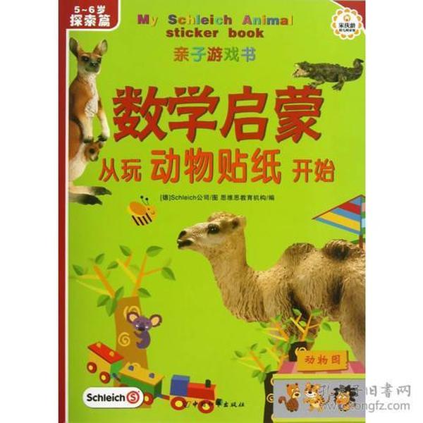 十一月寻狗记，探索变化的力量与自信成就之旅