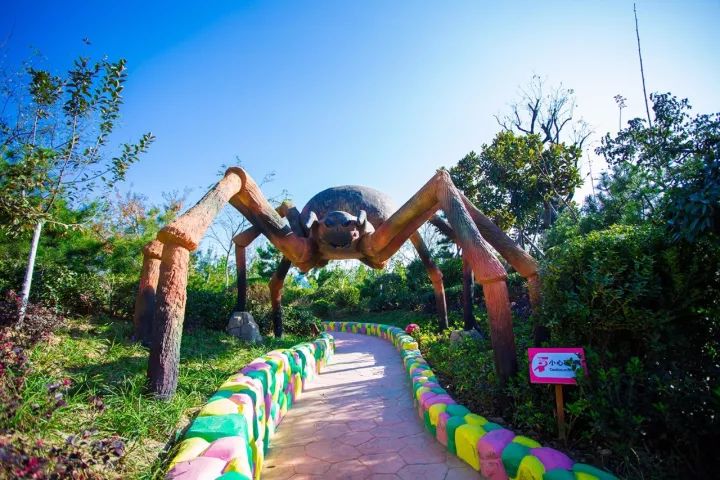 11月撒欢儿走进自然，探寻心中的宁静乐园