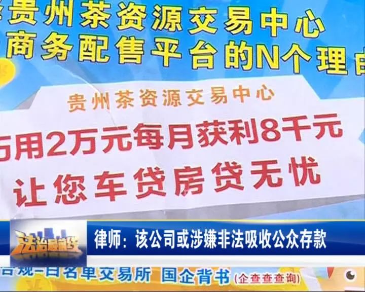 揭秘十一月最新扰民条例，要点解读与公众应对指南
