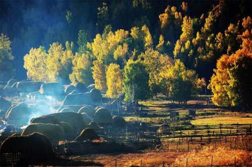 欧弟新篇章启程，探寻自然美景之旅，心灵宁静呼唤于2024年11月16日