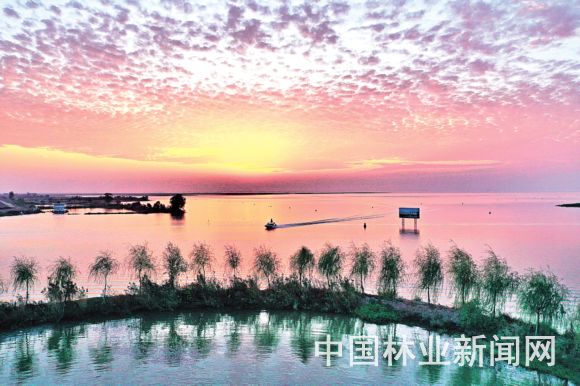 洪湖生态变迁纪实，洪湖最新情况与影响纪实（2024年11月16日）