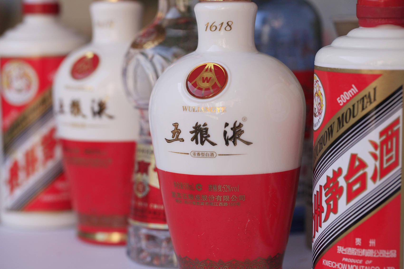 邂逅生命中的阳光，2024年11月16日最新短情诗赏析