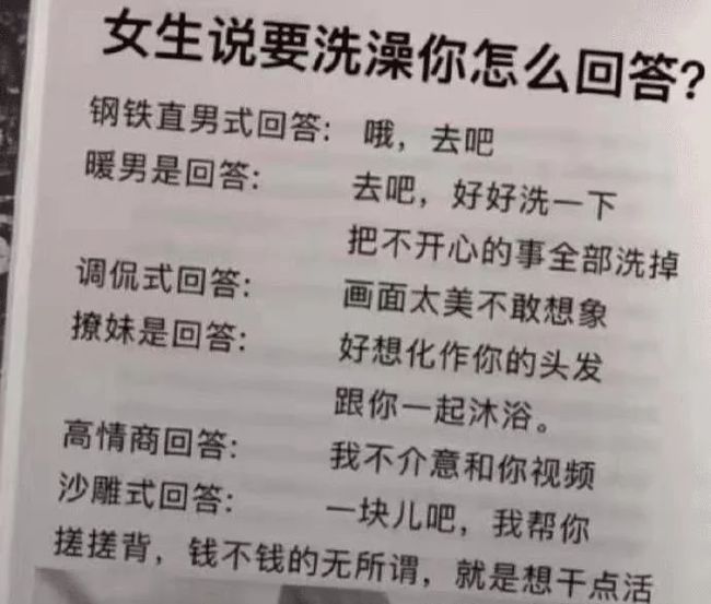 网肉宠文之旅，温馨纽带下的11月16日特殊记忆