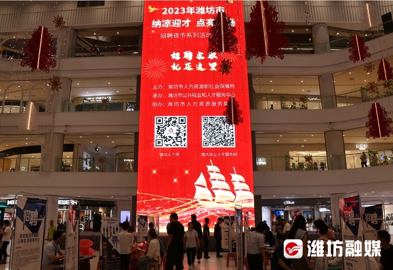 2024年11月24日 第11页