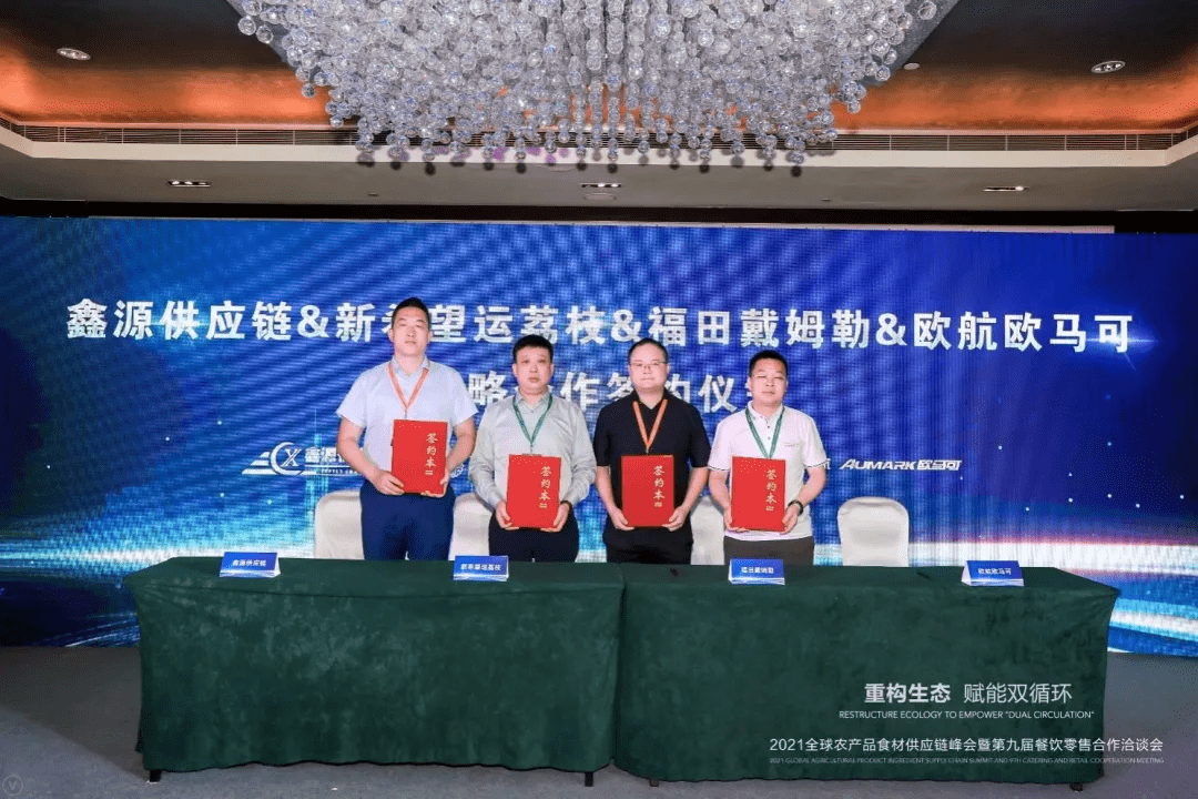 独家揭秘，科技新星引领未来生活新潮，揭秘11月16日更新延迟最新消息！