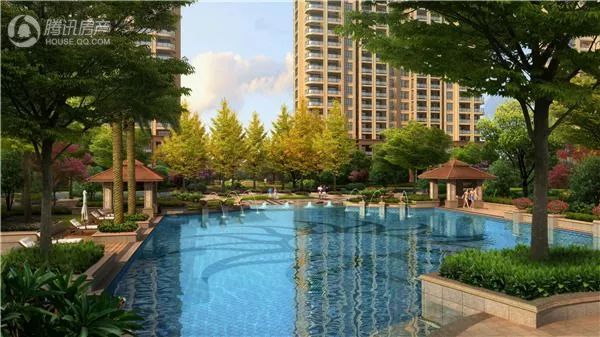 11月16日万科星城最新动态及行动指南，任务完成与技能学习全攻略