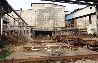 马钢居家休养日常，2024年11月16日的温馨时光