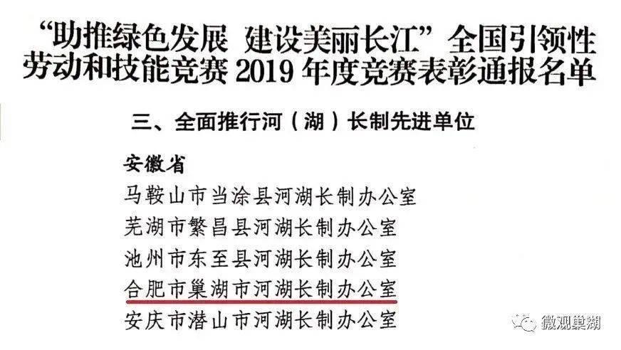 解读，往年11月16日文明养犬最新规定概述