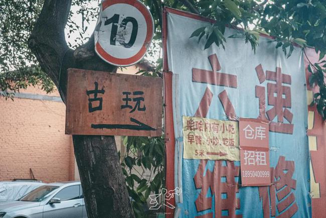 揭秘日照隐秘小巷的宝藏小店，历史上的最新招聘信息一网打尽（11月16日）