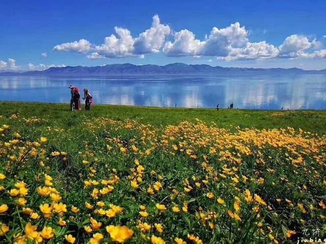 成都北改最新动态，探寻自然美景，寻找内心平和宁静之旅