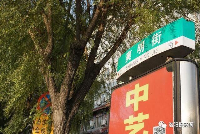 襄阳万宝粮油探秘，小巷深处的味觉秘境——最新消息与探访纪实（11月16日）