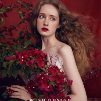 往年11月16日最新流行的手捧花，往年11月16日最新流行的手捧花深度评测，特性、体验、对比及用户群体分析