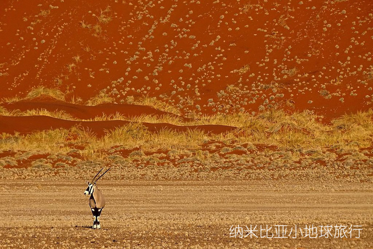 探索自然美景之旅，与最新11月狠狠网共同寻找内心的宁静