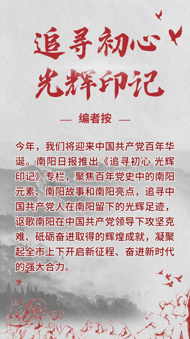 2024年11月26日 第11页