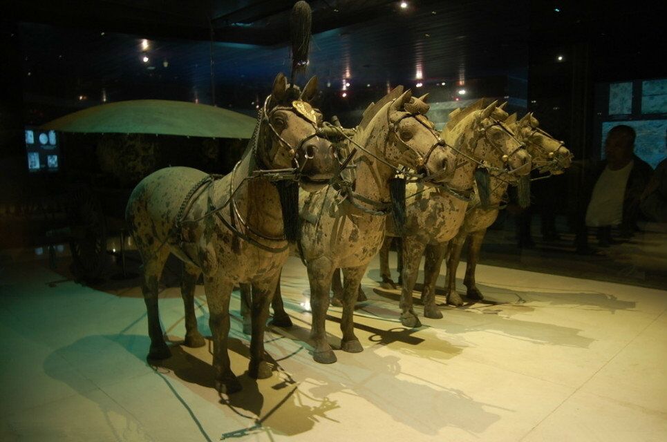 兵马俑深度评测与介绍,往年11月17日最新动态揭秘!